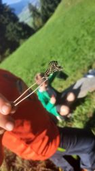 WhatsApp Image 2025 09 26 At 10.14.17